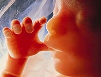 نظر مراجع تقلید درباره «سقط جنین»