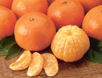 نارنگی پادشاه میوه های گران!