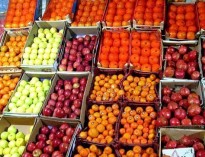 ثبات نسبی قیمت‌ انواع میوه‌ و تره‌بار در بازار