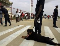 کشته شدن 17 نفر در آنگولا بر اثر هجوم تماشاگران به زمین فوتبال