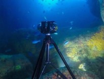 رونمایی از دوربین فیلمبرداری 360 درجه در زیر آب+تصاویر