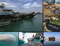 صید«ترال» بلای جان صیادان/«اقتصاد بومی» در ساحل مکران غروب می‌کند
