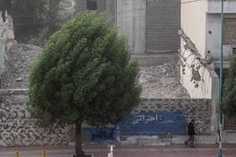 پیش‌بینی وزش باد شدید در تهران/ وضعیت ناسالم هوا برای گروه های حساس