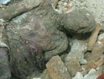 تمام ماجرای کشف جسد مومیایی منتسب به رضا شاه+عکس