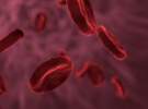 راه اندازی سومین «بانک سلول‌های بنیادی خون قاعدگی» دنیا در ایران 