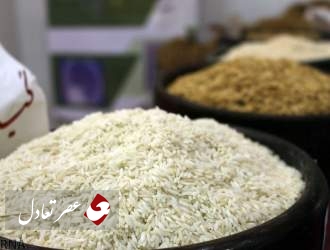 تکذیب برنج مصنوعی در کشور