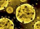 ویروس کرونا خطرناکتر است یا آنفلوانزا؟