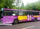 نگرانی جدی رانندگان اتوبوس از کرونا: دستکش و ماسک نداریم