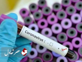 افزایش آزمایشگاه های تشخیص کرونا در ایران/ نماینده سازمان بهداشت جهانی: 50 آزمایشگاه در ایران فعال می شود
