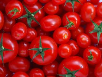 علت افزایش قیمت پیاز و گوجه فرنگی