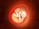 «استرداد» فرزند حاصل اهدای جنین؛ ممنوع!