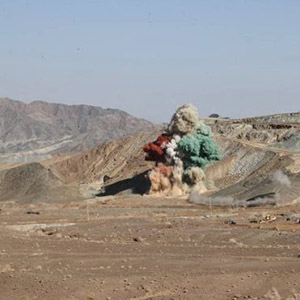 احداث کارخانه تولید کیک زرد با ظرفیت سالانه ۲۰ تن